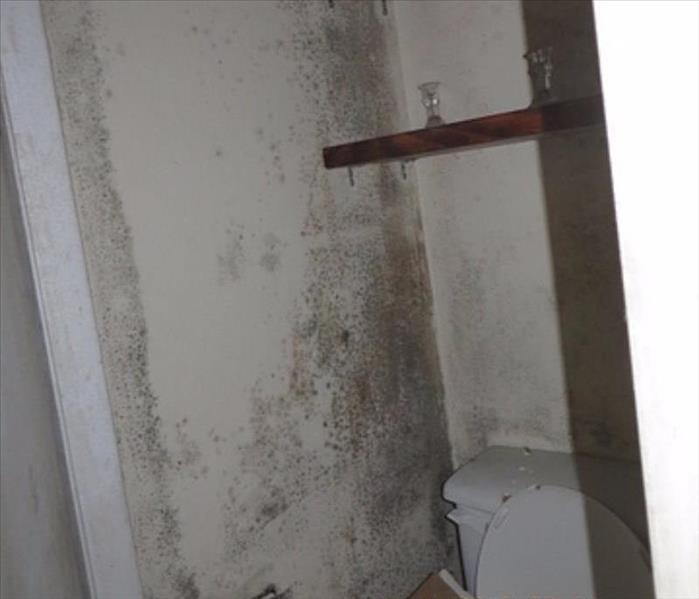 Mold Damage in Home's Bathroom